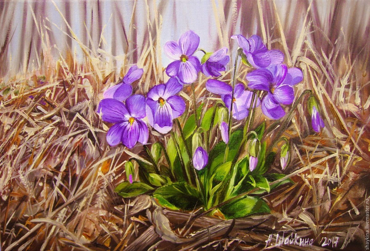 Первоцветы (подснежники, крокусы, гиацинты).