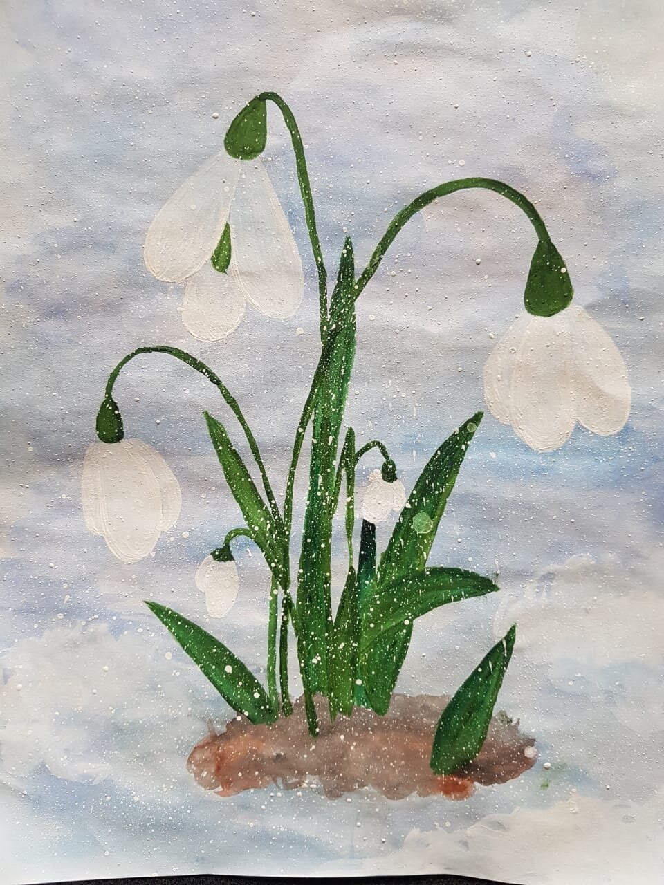 Первоцветы Ботаническая иллюстрация