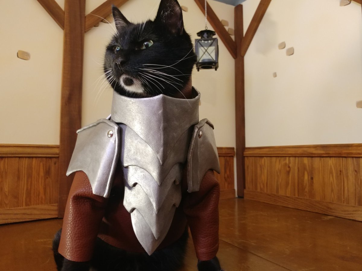 Кот в самурайских доспехах