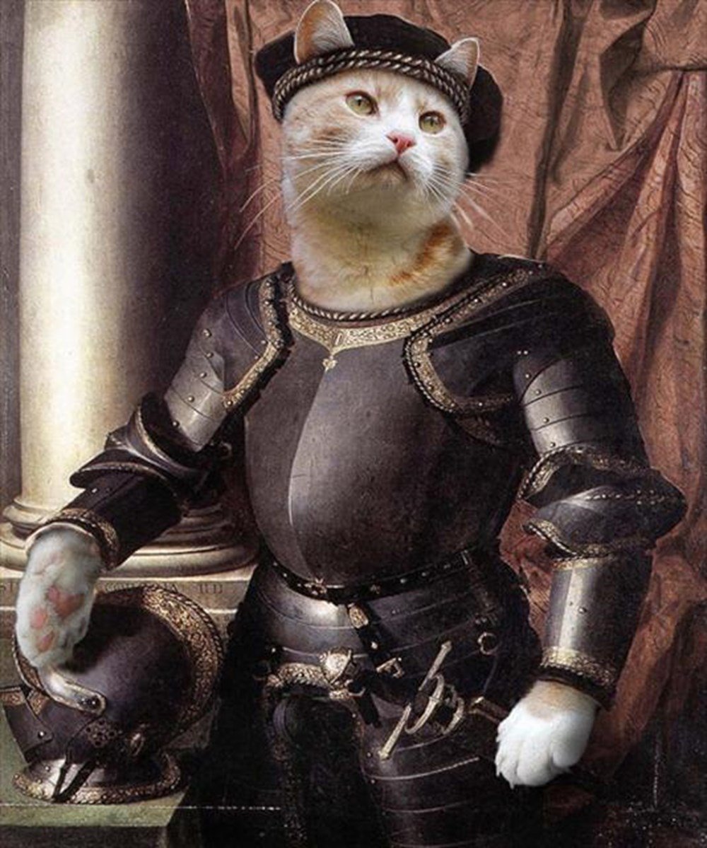 Кот тамплиер арт