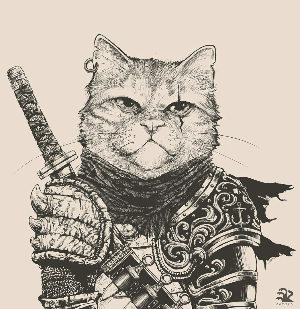 Кот в доспехах