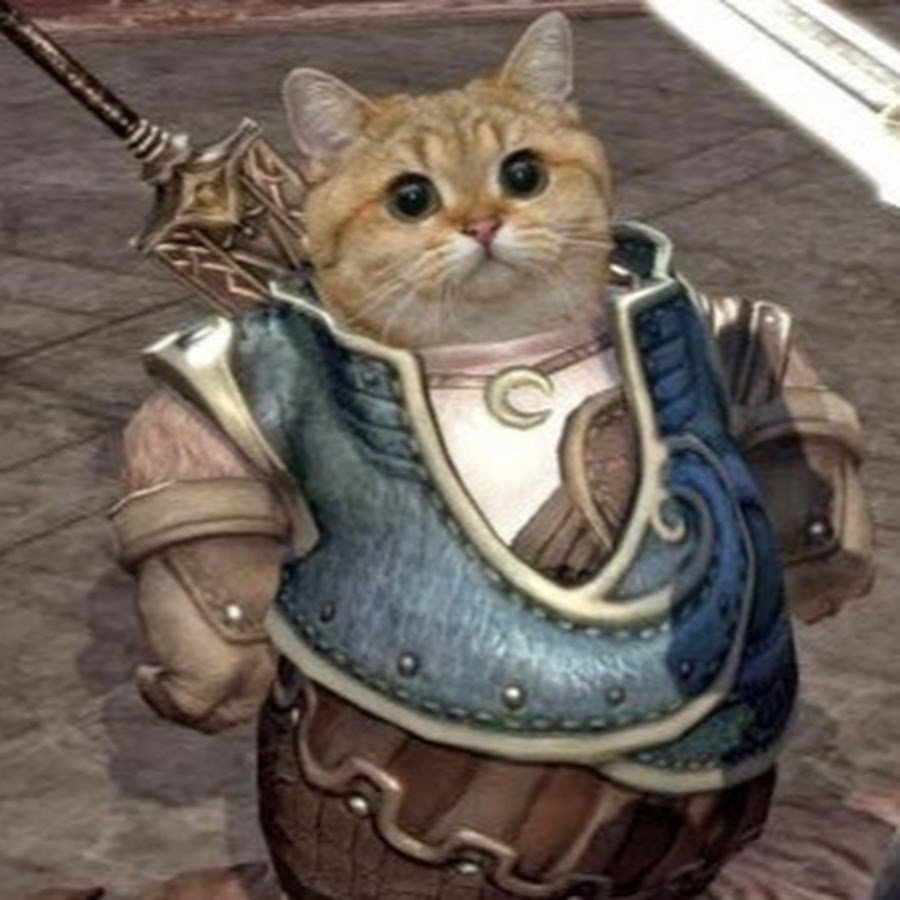 Кошка в доспехах