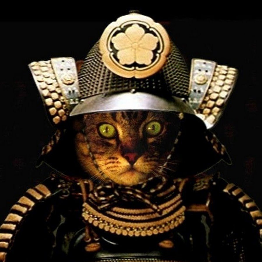 Кошка в доспехах компьютерная