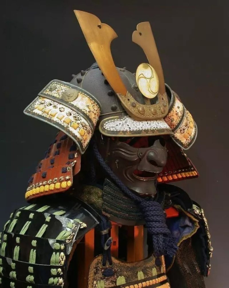 Кот в доспехах