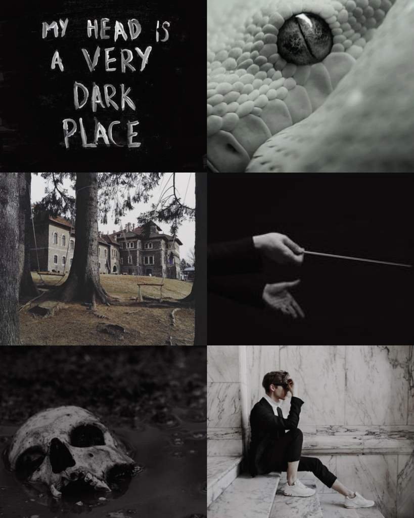 Том Марволо Реддл Эстетика