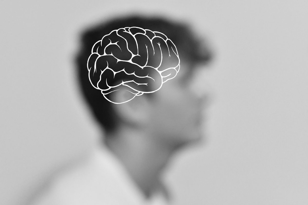 Мозг Эстетика