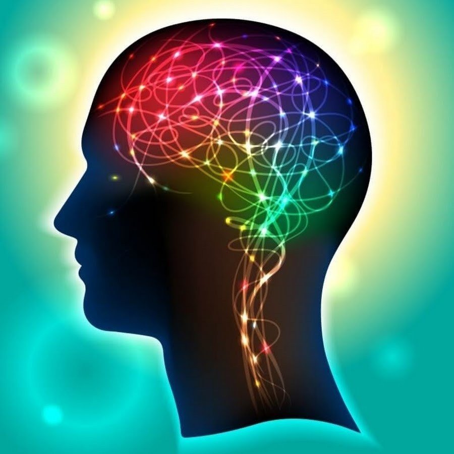 Мозг в голове