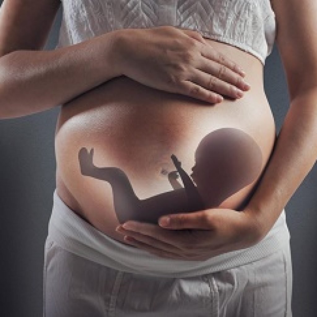 Ребенок в утробе иллюстрация