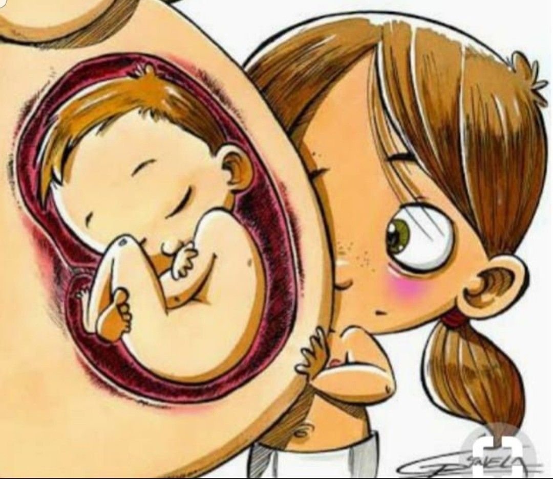 Живот рисунок для детей