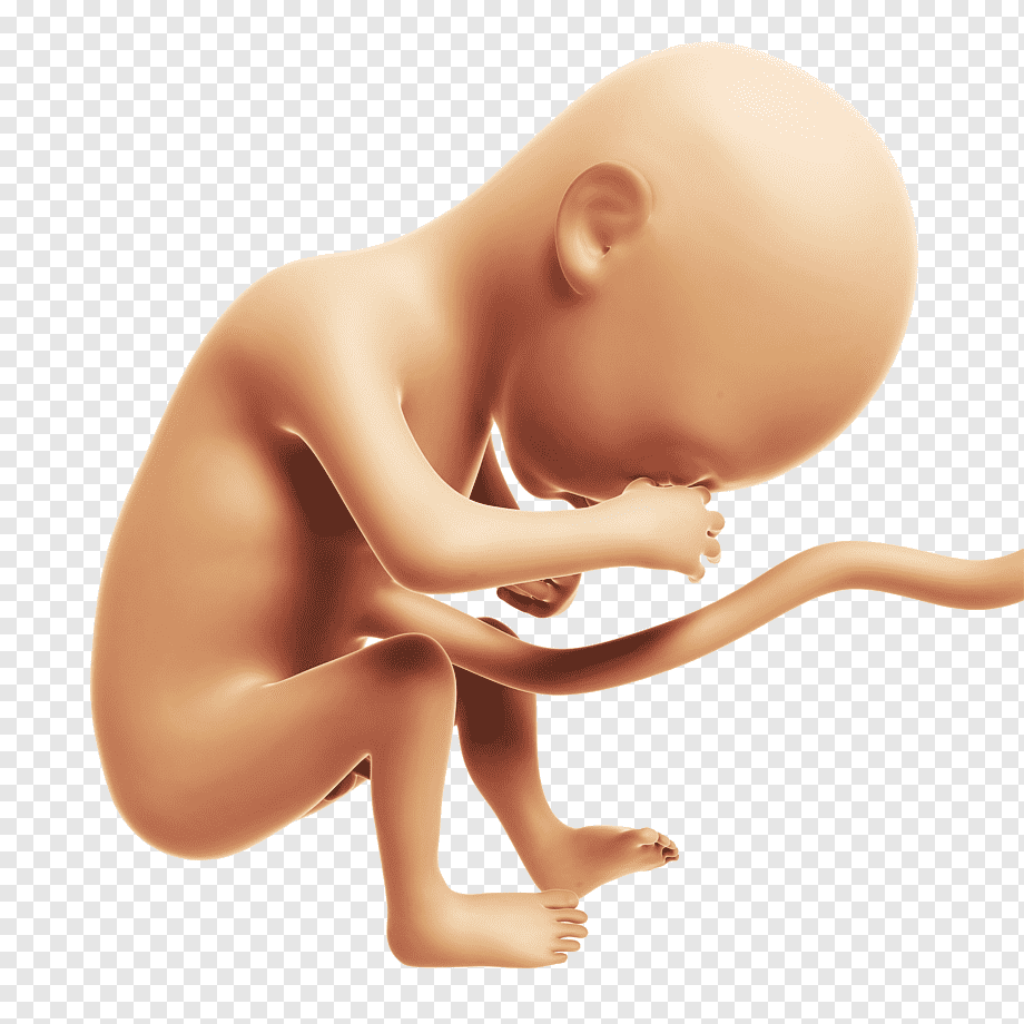 Малыш выглядывает