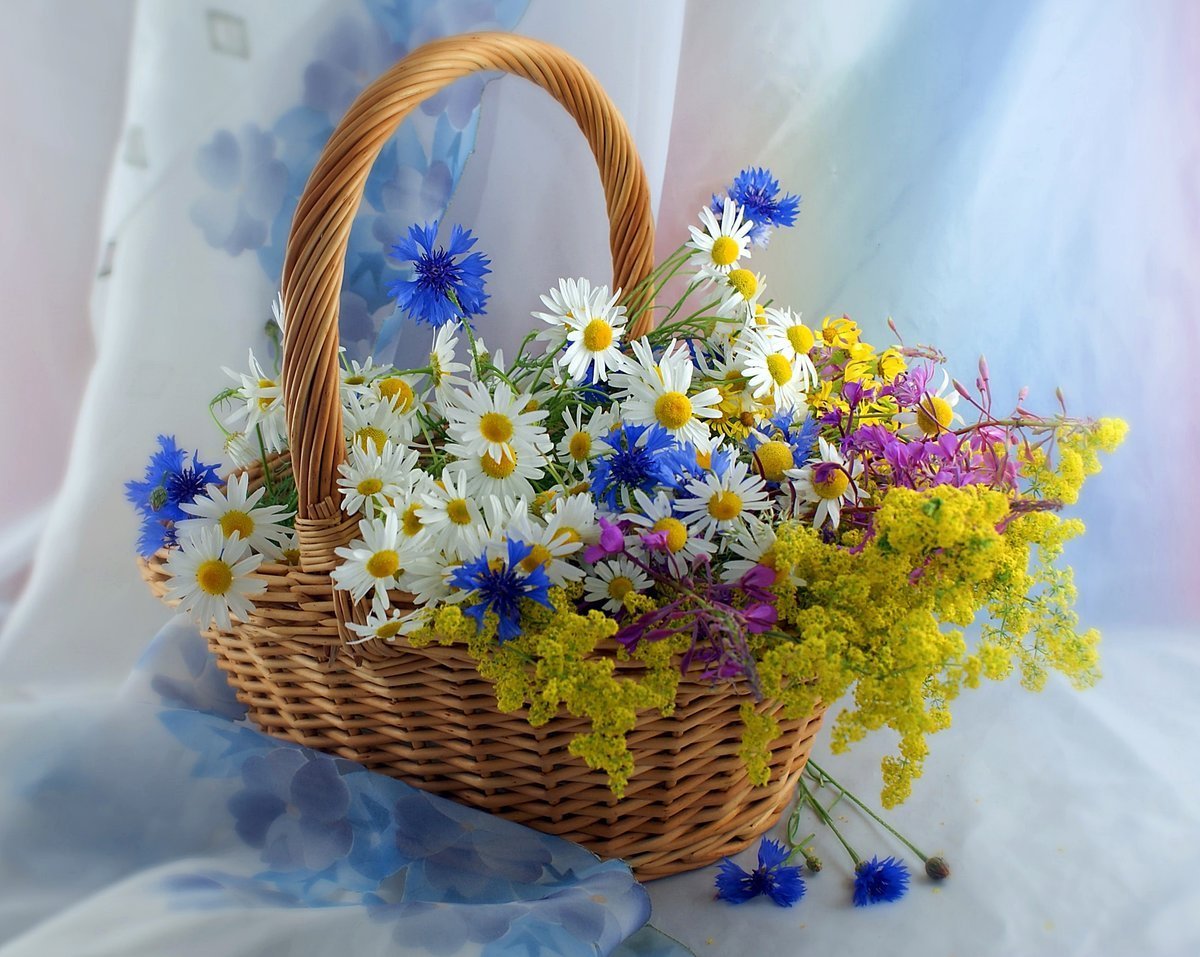 Полевые цветы в корзинке