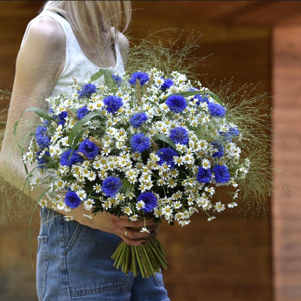 Ханс Эмменеггер букет Васильков