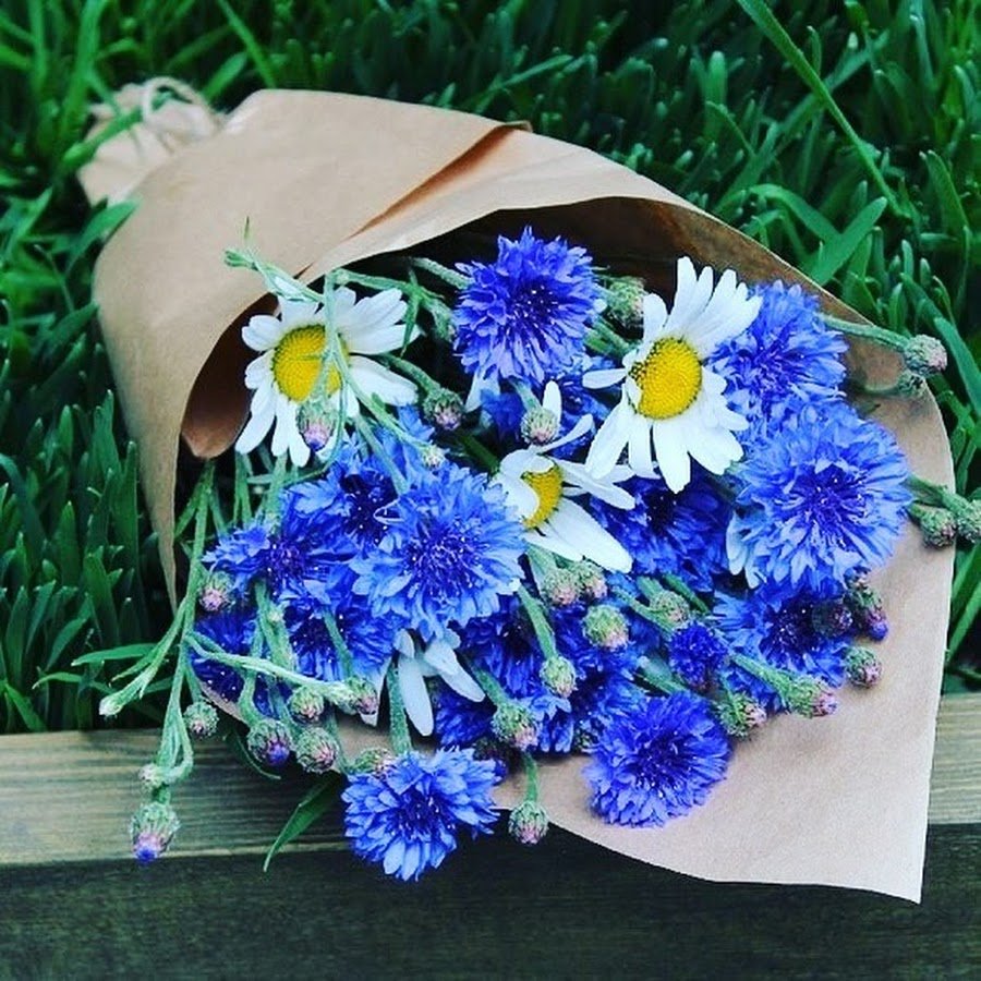 Ханс Эмменеггер букет Васильков