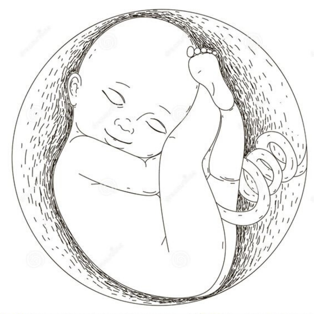 Акушерство иллюстрации