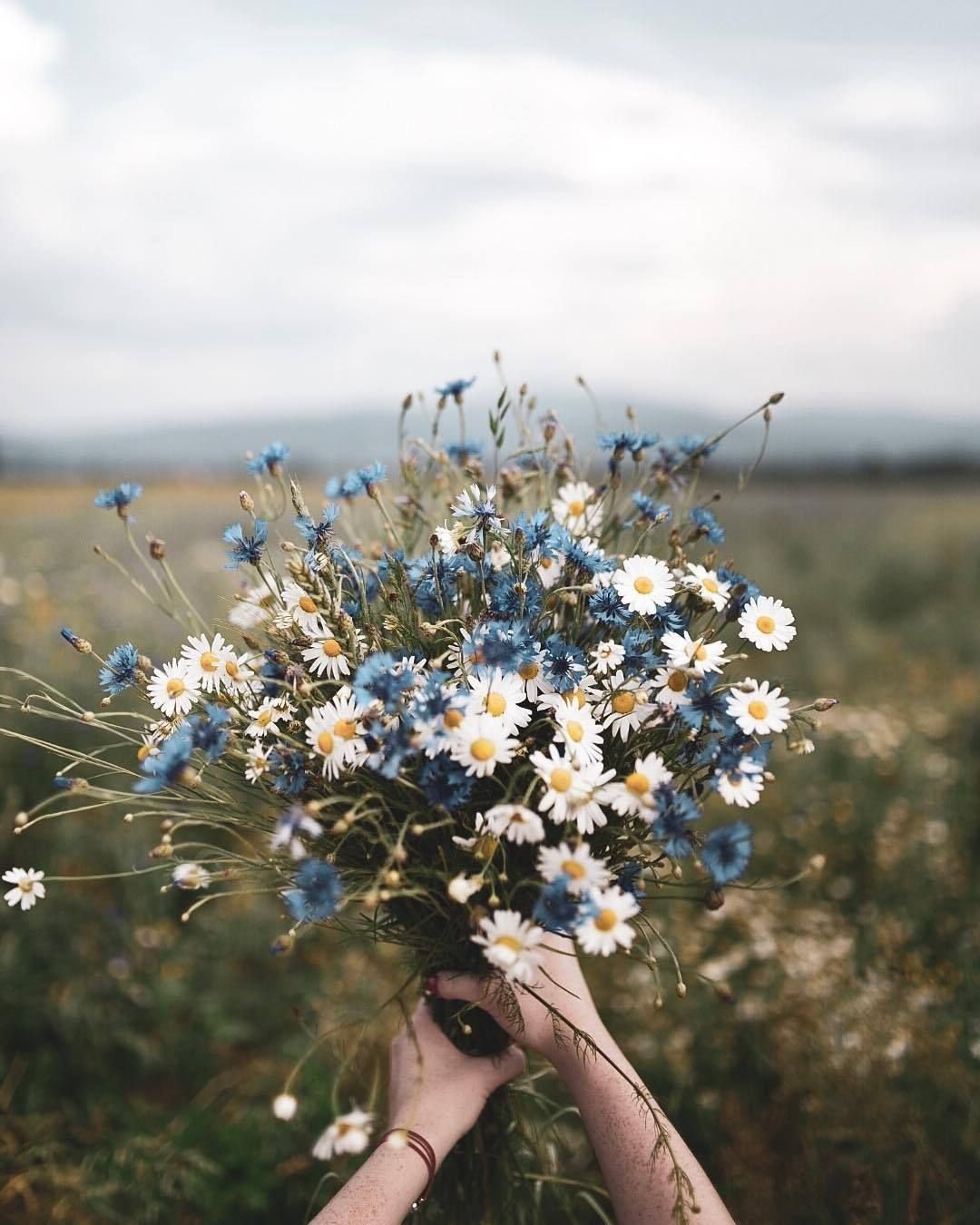 Букет полевых цветов