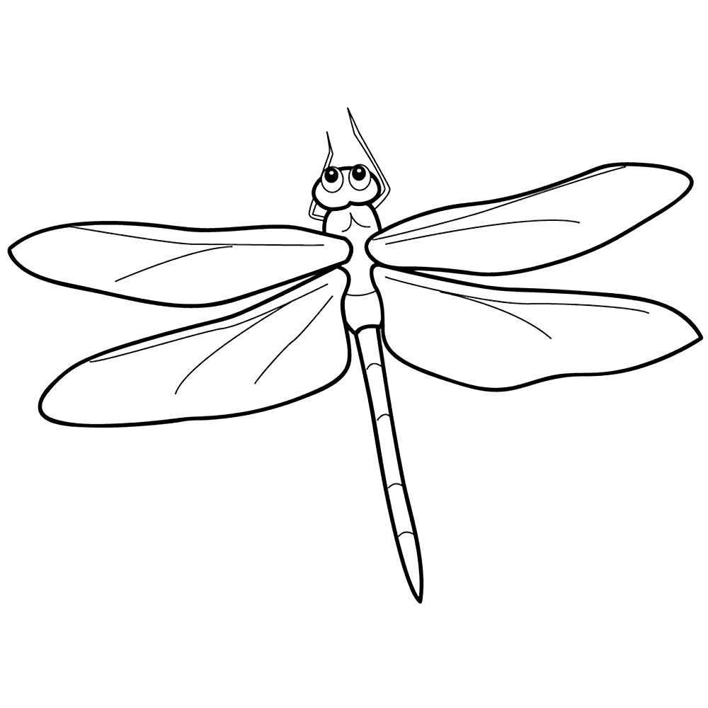 Насекомые раскраска для детей