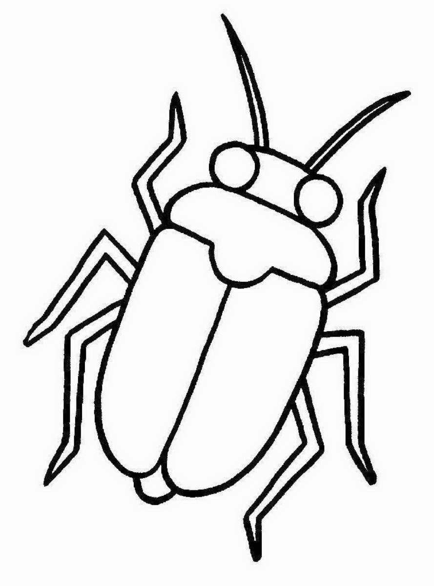 Раскраска насекомые много
