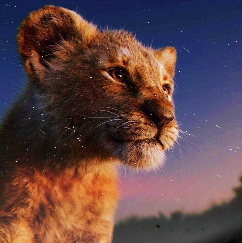 Симбачка тик ток