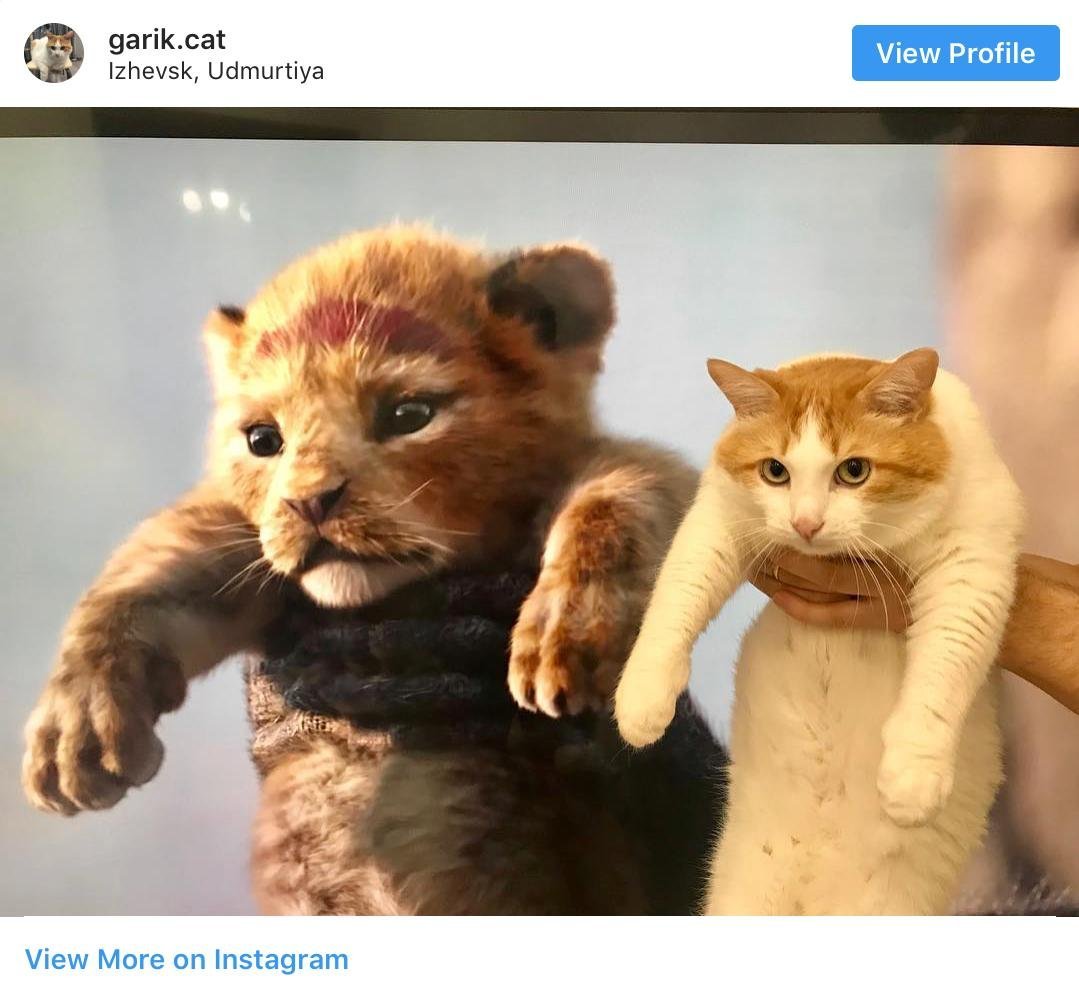 Симба мультик Король Лев