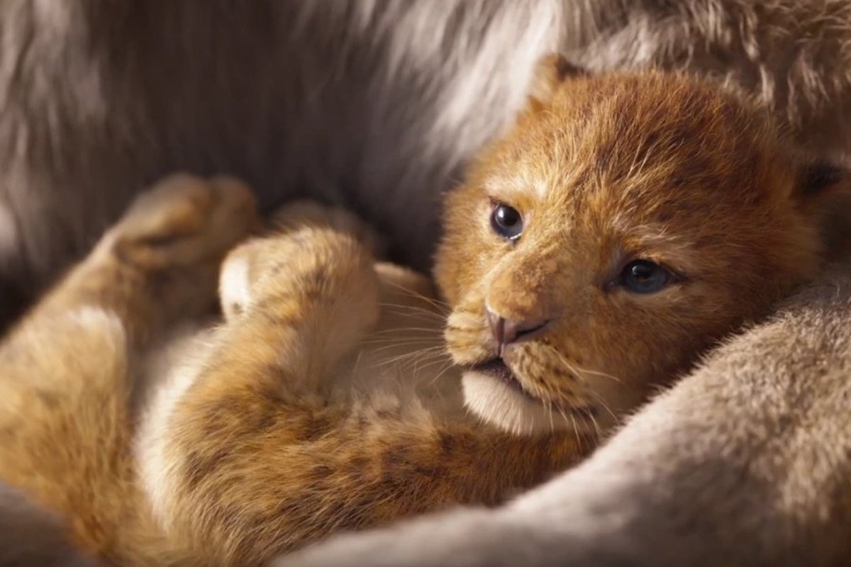 Симба обои на телефон