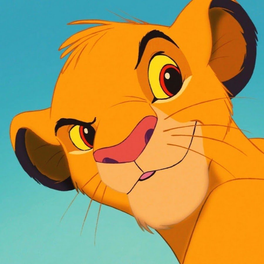 Картинки симба котик
