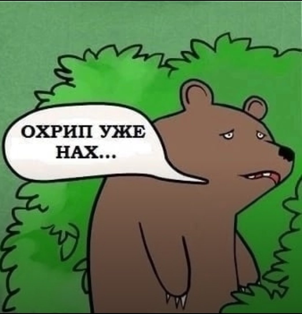 Шутки про медведя