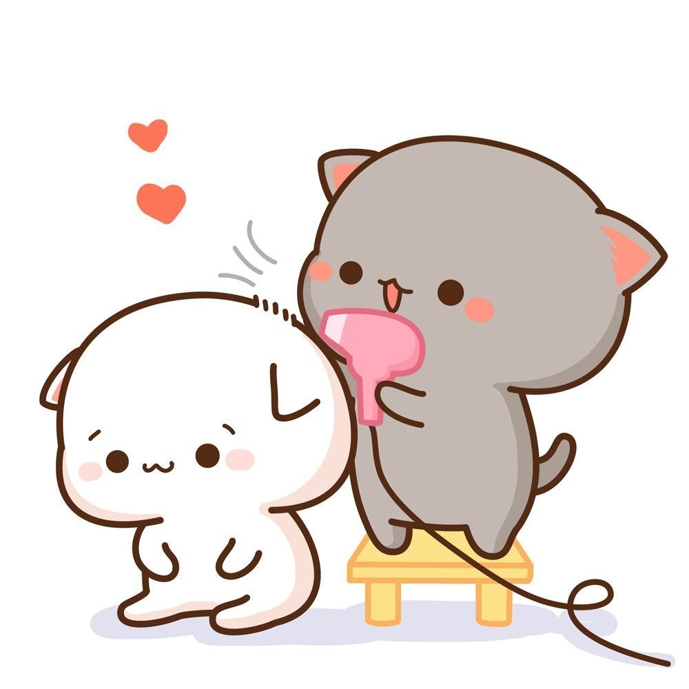 Кавайные котики любовь