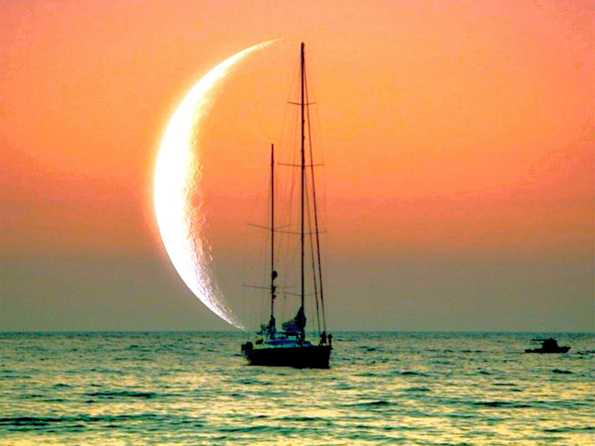 Море яхта Чайки