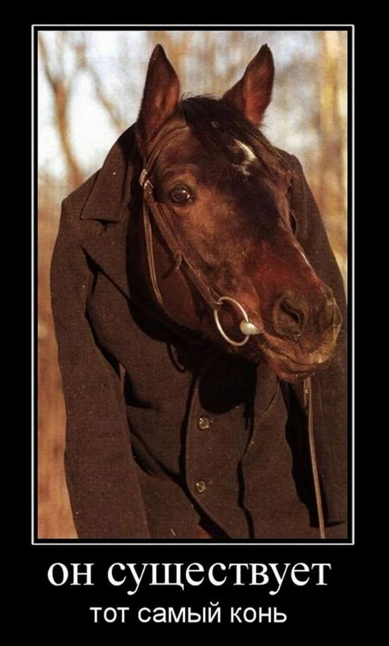 Конь в пальто