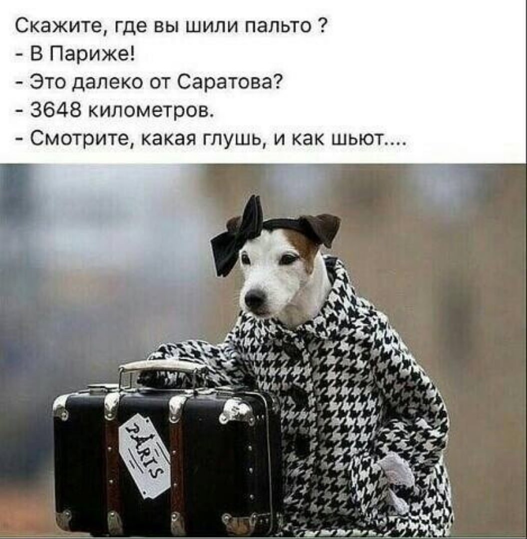 Шутки про Париж