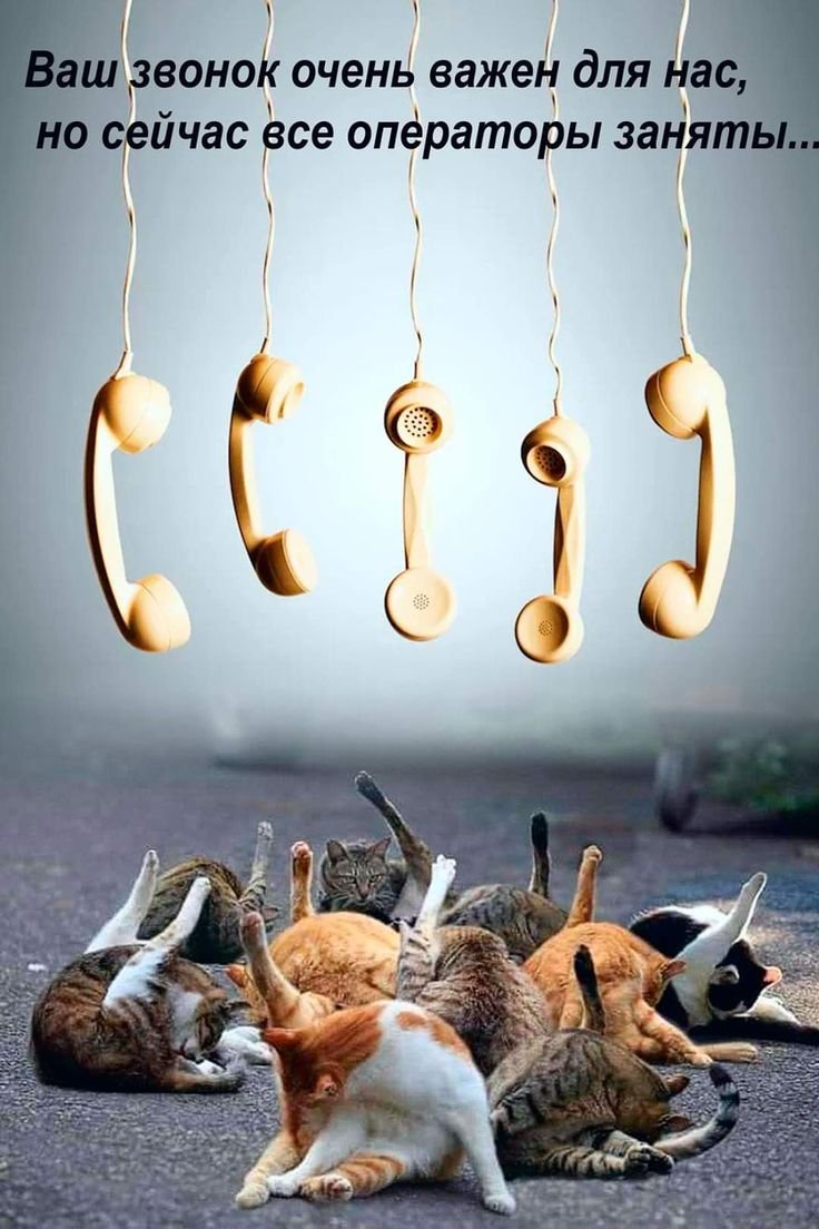 Спрей от игнора