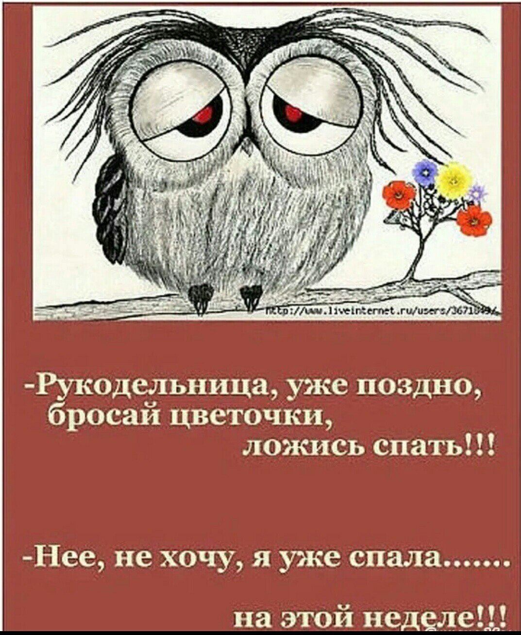 Медитация юмор