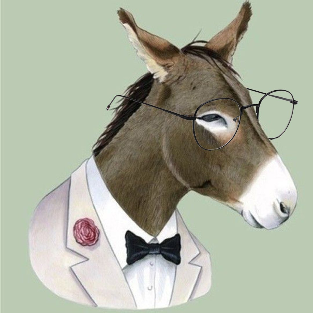 Ослики в человеческой одежде