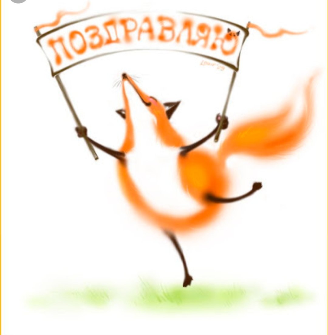 Книга с лисами на обложке