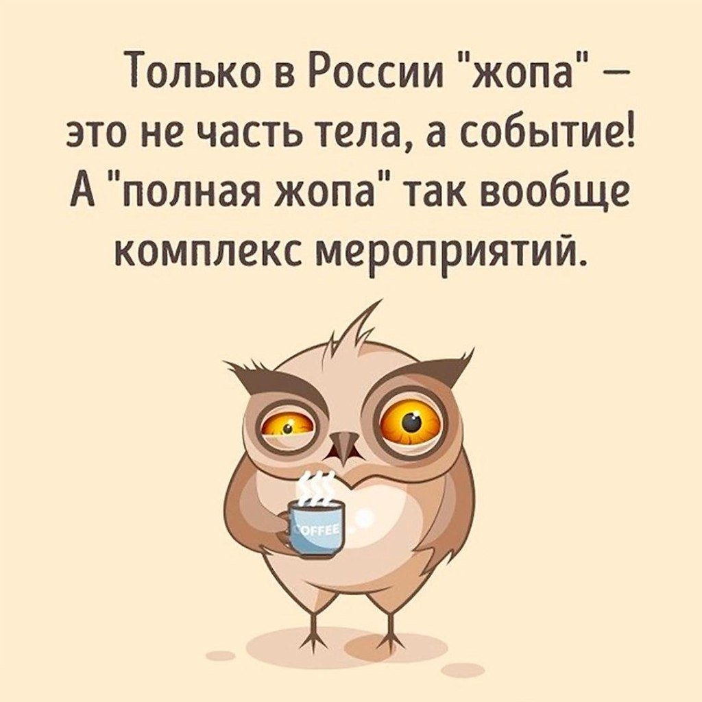 Смешные ситуации цитаты