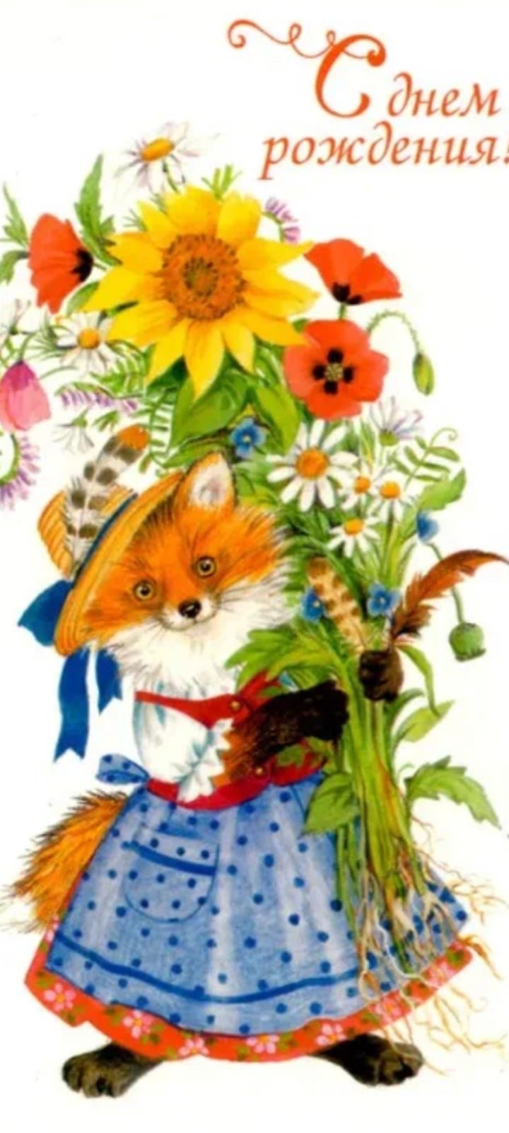 Чистотина Евгения иллюстрации лиса