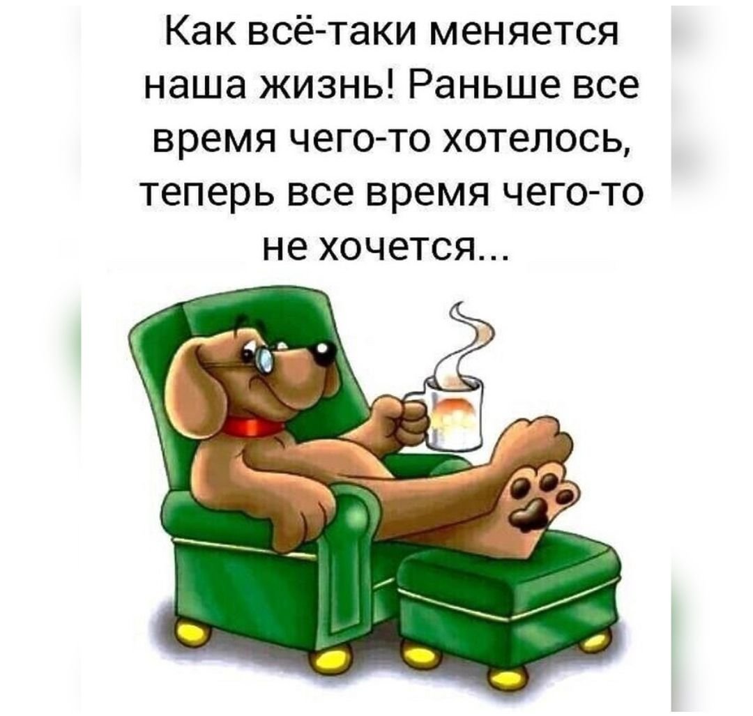 Позитивные картинки на злобу дня