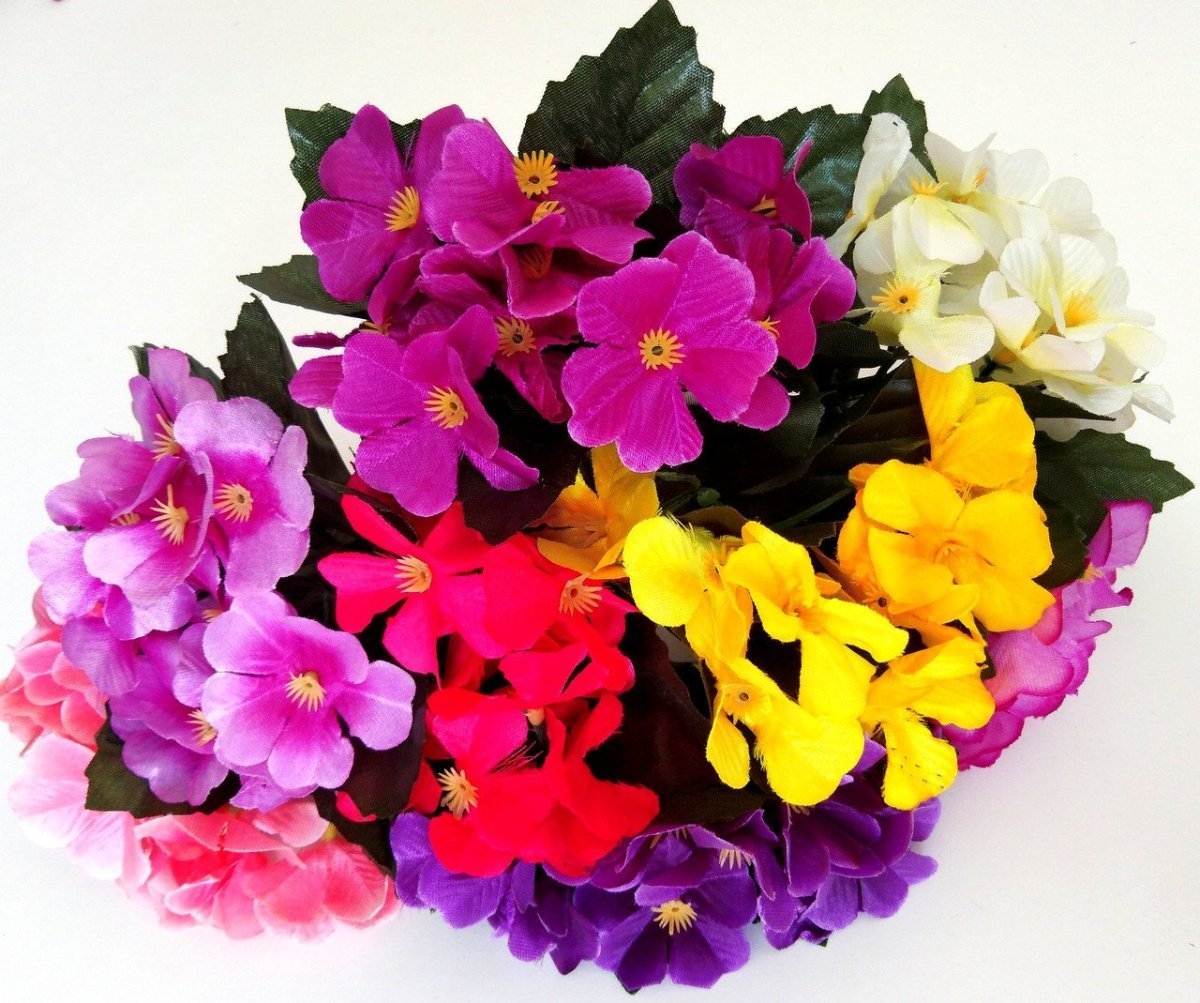 Международный день фиалки