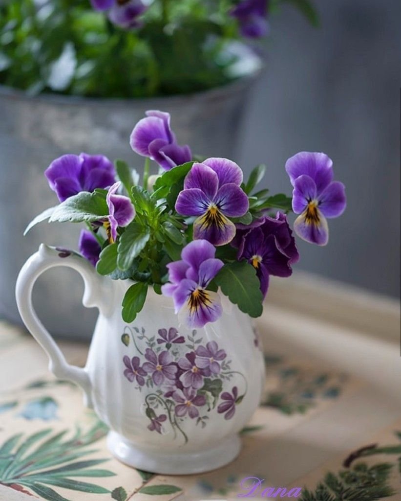 Поздравления с днём рождения знакомой