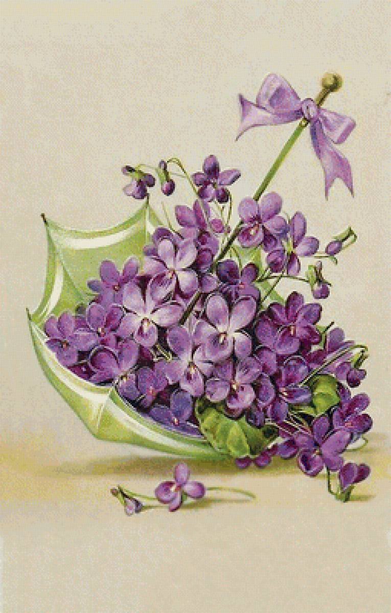 Сиреневые цветы