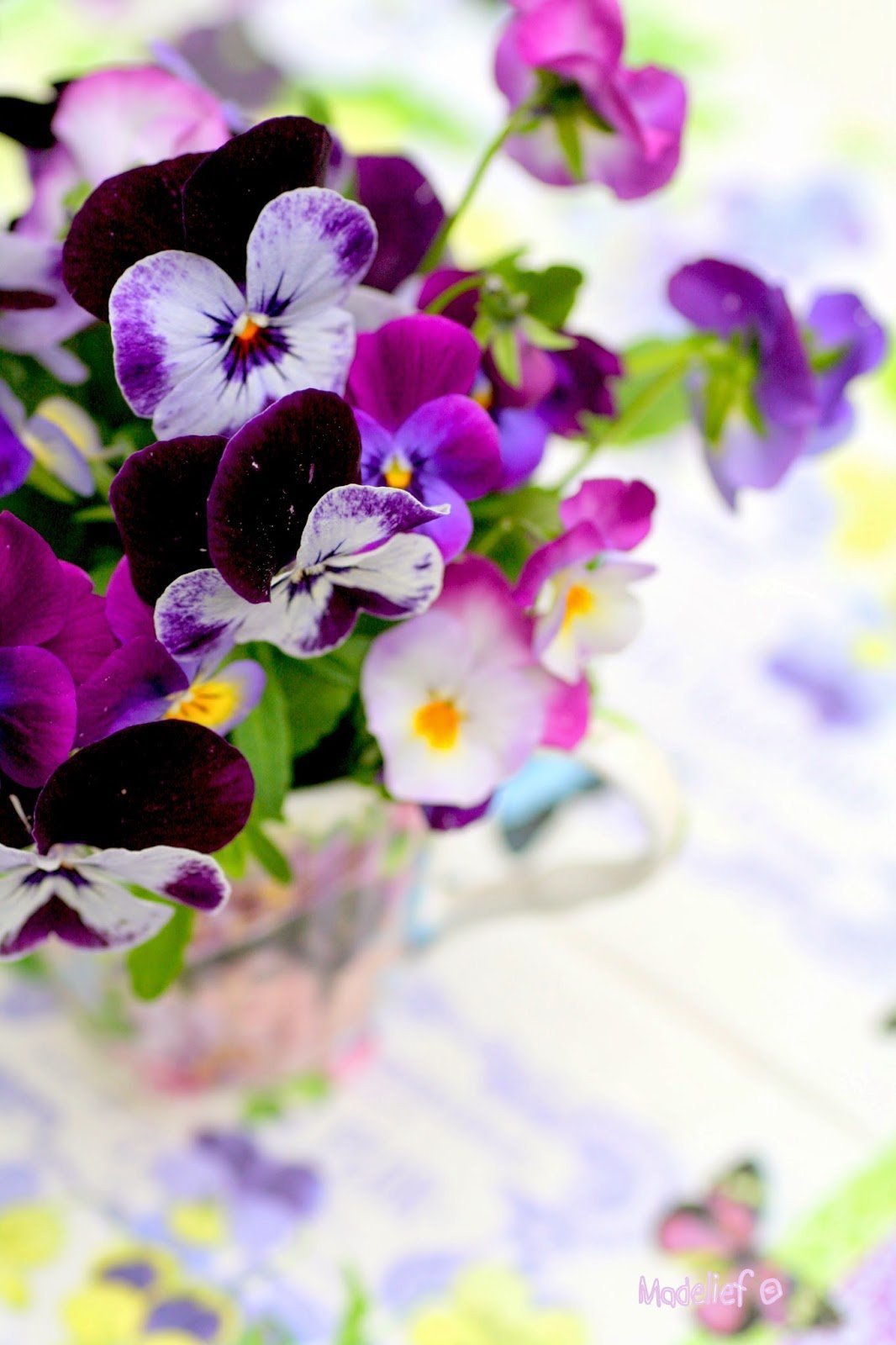 Royal Albert Анютины глазки