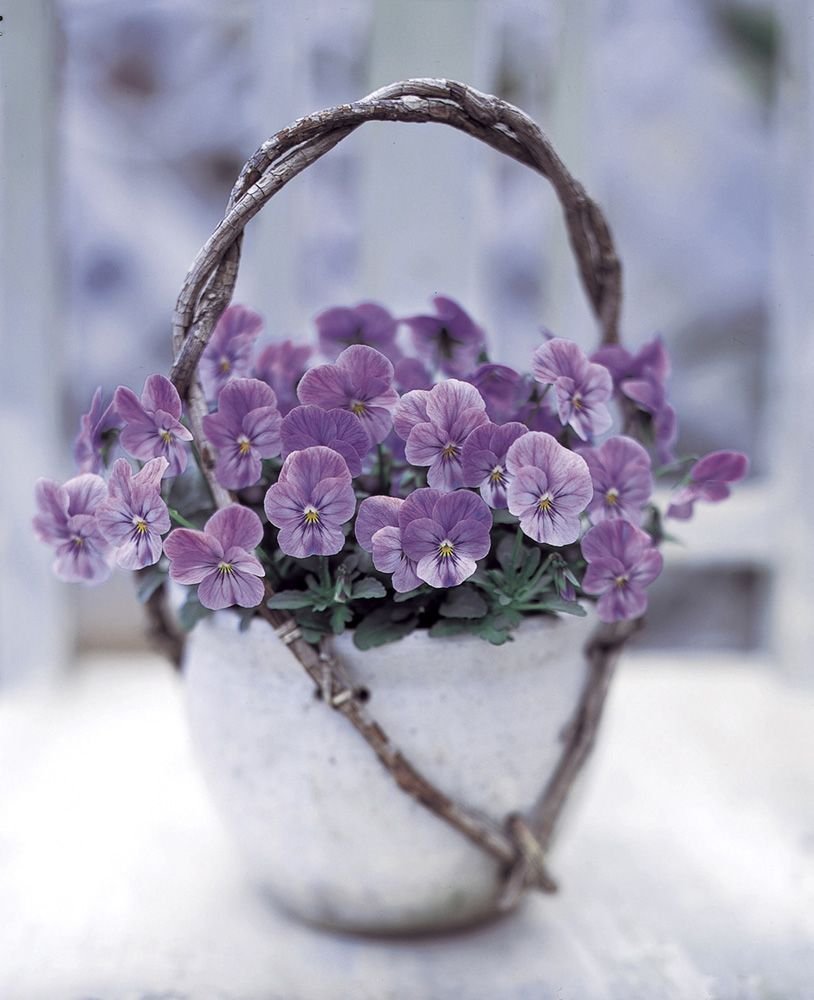 Букеты с весенними цветами крокусами