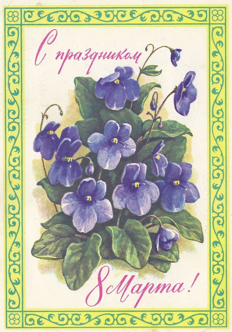 Анютины глазки