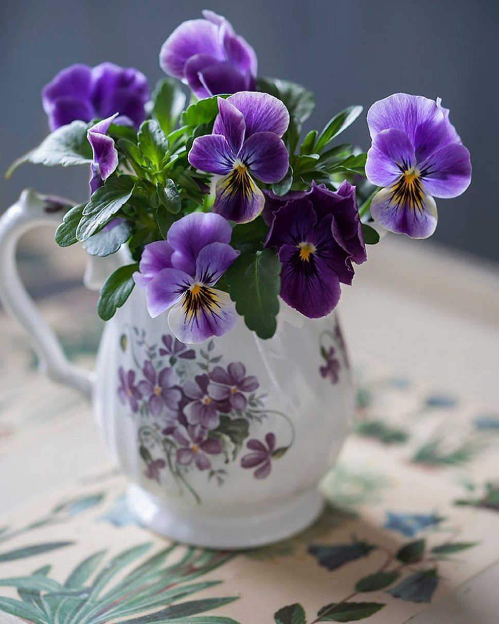 Букетик лесных фиалок