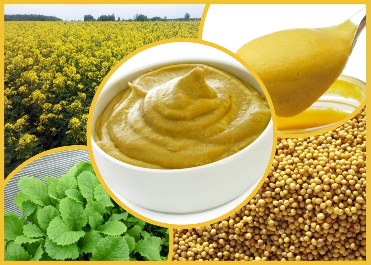 Горчица соус сверху