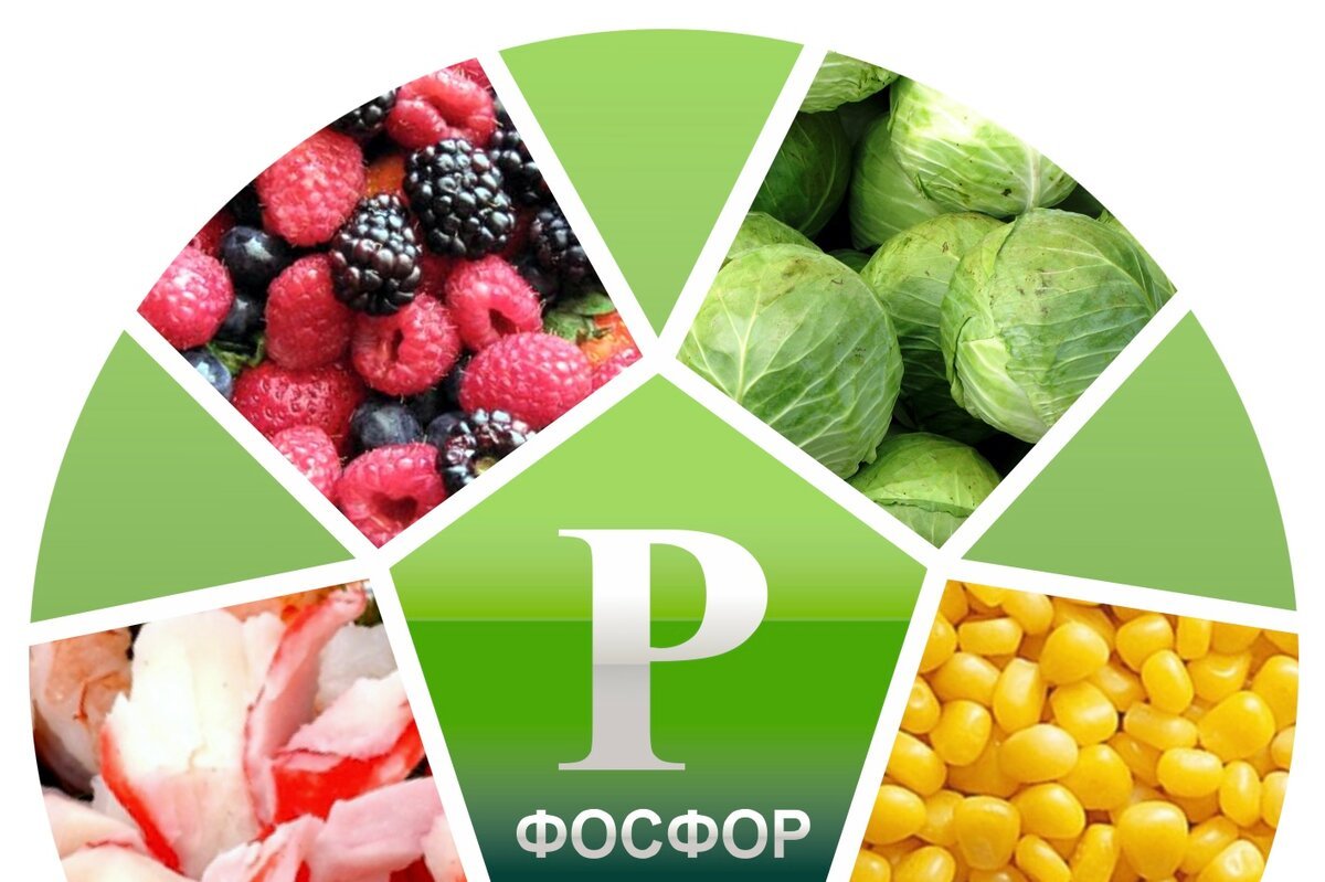 Фосфор в медицине