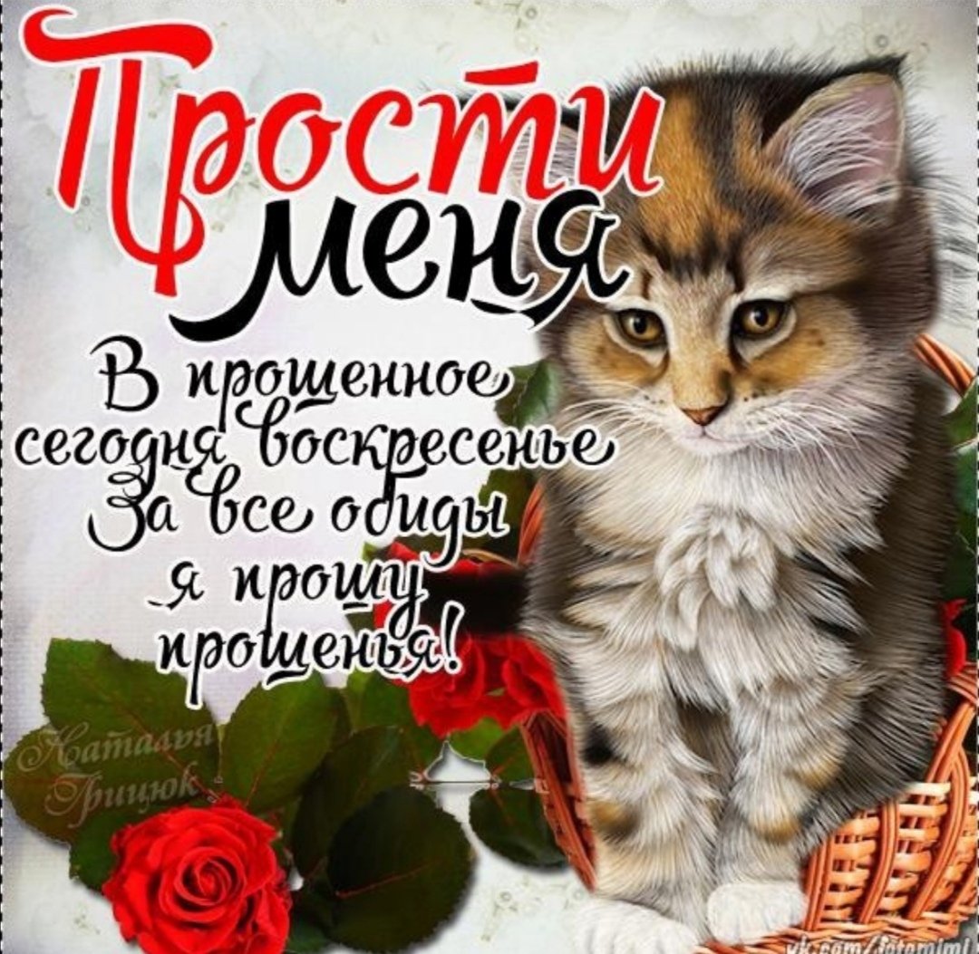 Открытки с прощением