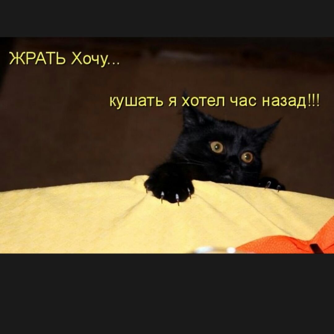 Очень хочется кушать