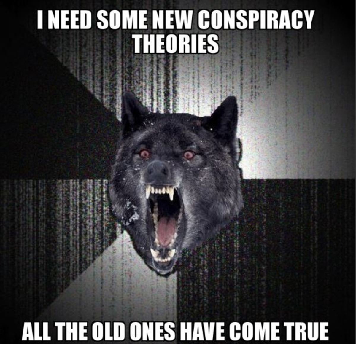 Сумасшедший волк Мем