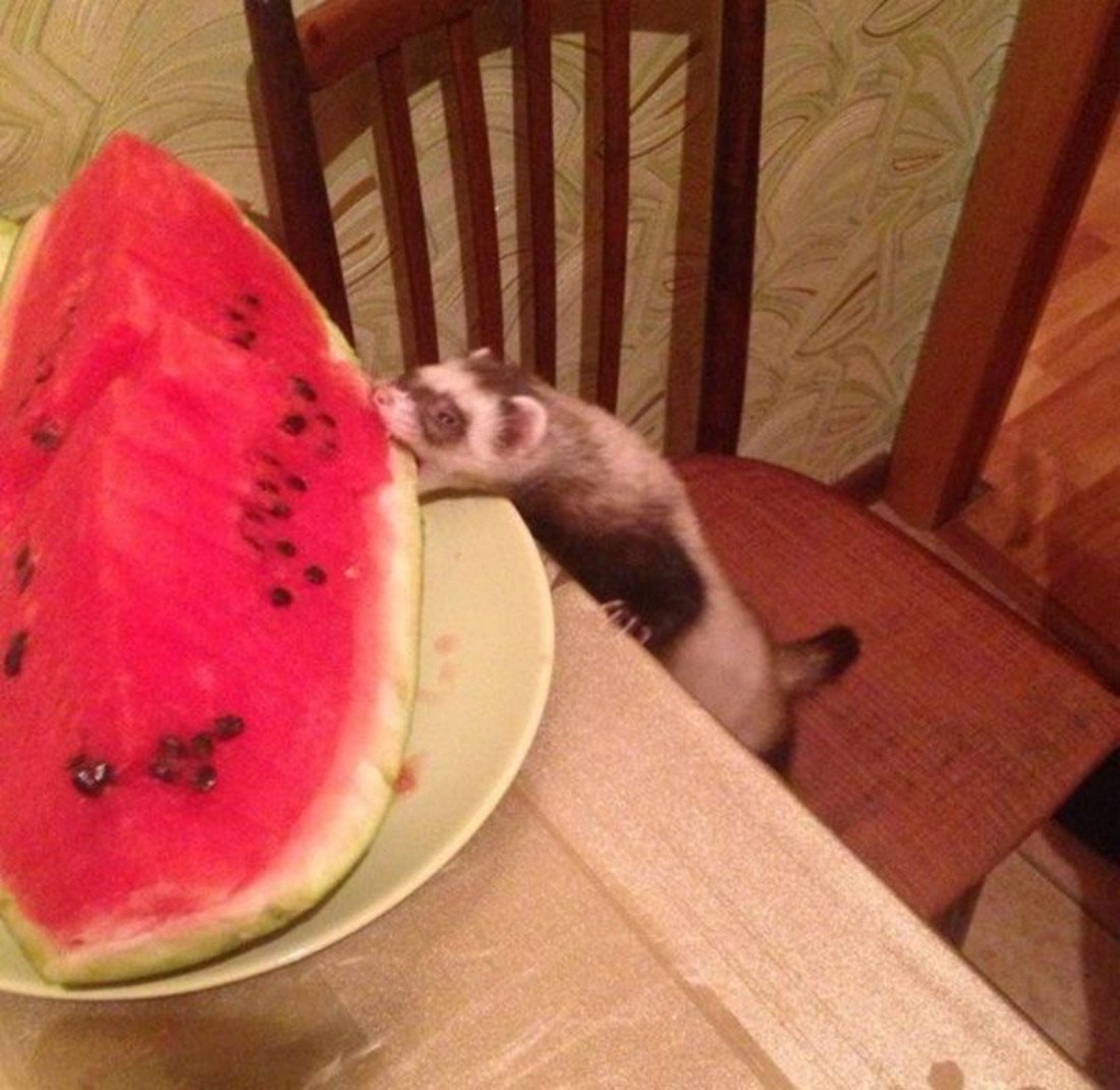 Фото хочу кушать